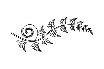 Elegant minimalist fern leaf with swirl in black and white isolated on white background