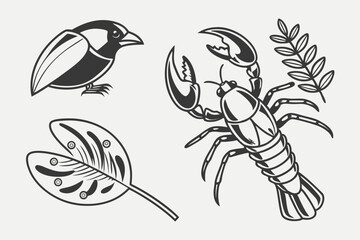 set of birds