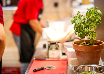 Fresh basil plant in a terracotta pot on a kitchen counter with pizza tools and ingredients in the background of an Italian restaurant.