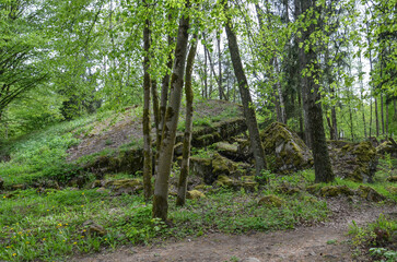 remains of buildings, trees, the concrete town of bunkers Wolf's Lair in Gierłoż near Kętrzyn