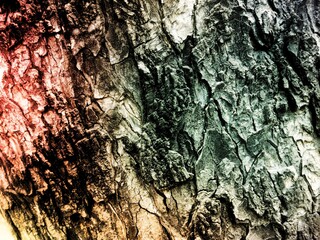 THE BEAUTY OF ABSTRACT ARTISTIC SURFACE TEXTURE	