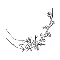 Delicate hand touching cherry blossom branch line art floral design illustration