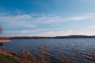 Tree next to the lake. Background day panorama on the lake. Calm lake with tree