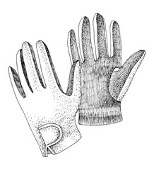 Equestrian riding gloves hand drawn illustration