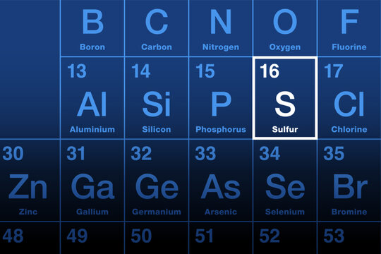 Sulfur element on periodic table. Nonmetallic chemical element with atomic number 16 and Symbol S from Latin sulphur. Essential for all life in form of organosulfur compounds or metal sulfides. Vector