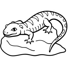 Fototapeta premium Reptile Resting on Warm Stone – Minimalist Outline Illustration