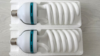 Two large spiral compact fluorescent light bulbs (CFL) in protective white foam packaging. Energy-saving daylight lamps with E27 screw base on light wooden background, top view