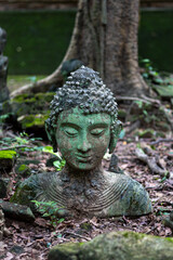 Ancient Buddha heads at Wat Umong.