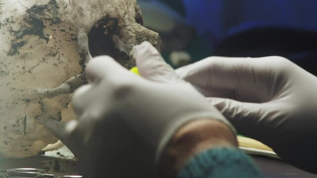 Analyst takes dirt samples from human skull and places in test tube