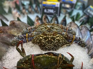 wide selection of fresh seafood on ice including crabs perfectly preserved for premium cooking, offering rich flavors and variety at a bustling seafood market stall