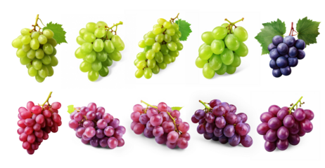 A variety of grapes displayed against a transparent background