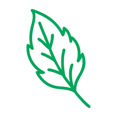  Stevia leaf vector art.