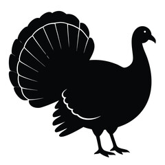 Majestic Turkey Silhouette A Striking Black and White Bird Illustration