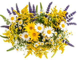 Scattered Bright Wildflowers in Rustic Style, Top View, Isolated on Transparent Background