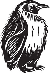 Obraz premium Penguin isolated on white background