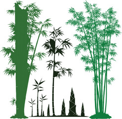 Collection of Bamboo Silhouettes Green, Tall, and Lush Illustrations