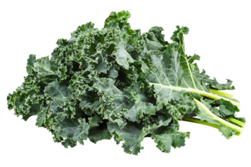 High-resolution kale flower bouquet isolated on transparent background PNG cut-out — ornamental edible blossom ideal for healthy food packaging, botanical illustrations, and creative digital design