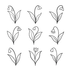 Set of lily of the vector Silhouette illustration