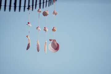 A gentle seashell wind chime made with natural shell pieces strung on clear threads. Its simple, handcrafted form sways gracefully in the light, perfect for relaxing and coastal-themed visuals