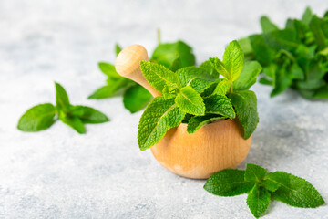 Fresh mint with mortar and pestle on wooden background. Melissa leaves. Healing herbs green mint...