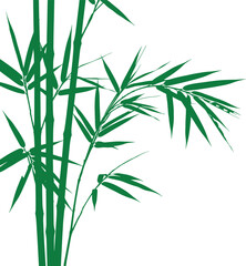 Serene Green Bamboo Illustration Elegant Nature Design