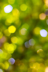 Abstract bokeh background with natural green and white light spots.