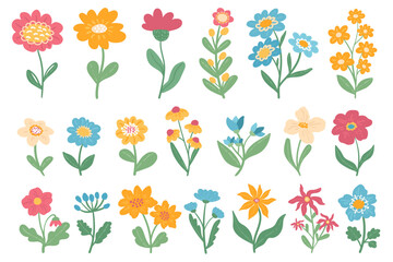 Set of spring hand drawn flowers. Romantic wildflower plants collection. Cute blossom floral elements, clipart set on white background. 