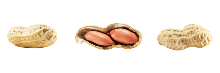 peanuts isolated on transparent background.