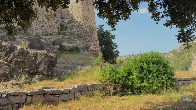 Three young wild goats standing fearless next to a stone tower of a medieval castle in Jerica Village, Spain. Far view framed by a tree branches.