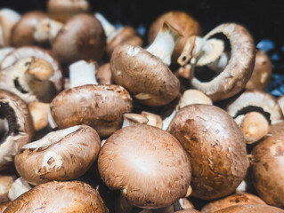 Close-up of many fresh champignon mushrooms