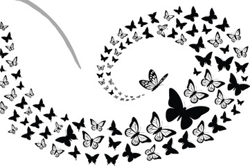 A monochrome spiral of butterflies on a white background with soft waves