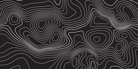 Minimal Black Topographic Texture – Bold Elevation Mapping Pattern.

