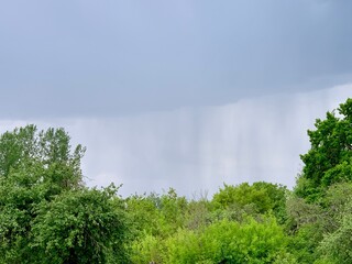 Dark clouds loom over thick greenery, indicating an incoming rainstorm. The scene captures nature's...