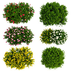 Fototapeta premium Isolated green trees and leafy plants are perfect for nature, garden, and forest environment designs, evoking summer growth and spring foliage