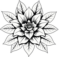 black and white flower