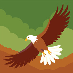 Majestic white tailed eagle in flight wings spread