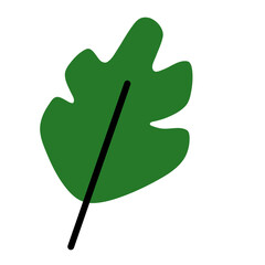 leaf nature icon doodles illustration 