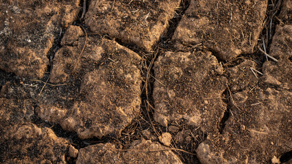 Close-up details of dry soil and cracked earth. Texture of parched ground showing drought, climate change, and environmental impact in natural landscape.