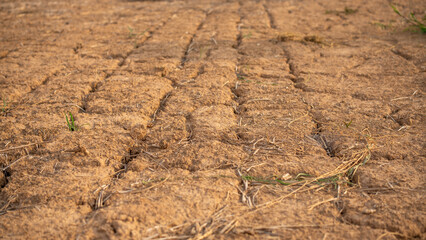 Close-up details of dry soil and cracked earth. Texture of parched ground showing drought, climate...