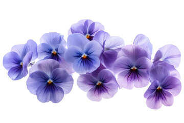 Obraz premium High-resolution pansy flower bouquet clipart – transparent PNG cutout for elegant botanical design projects, digital collage, wedding invitations, scrapbook overlays, sublimation prints, wall art