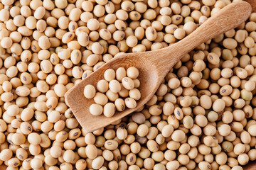 Close-Up of Raw Soybeans in a Wooden Spoon on Natural Background