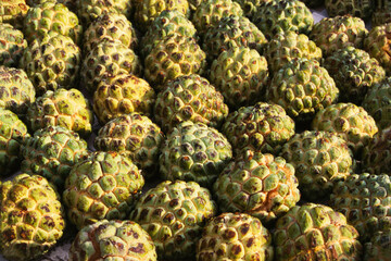 Custard apple fruit for sale
