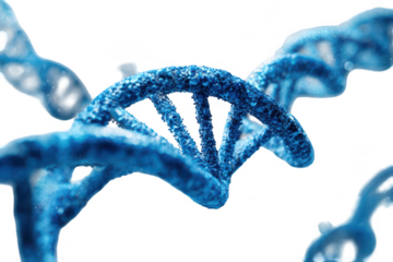 Detailed close-up of a stylized DNA double helix.  Abstract, textured,  and vibrant blue.  Surrounding structures suggest a complex biological system