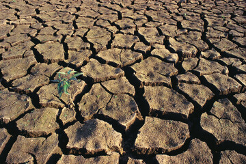Clay pattern prismatic structures in soil