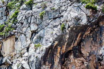 Textured Rock Face with Green Vegetation in Natural Environment