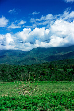 Attappadi region, Kerala, Western Ghat, India