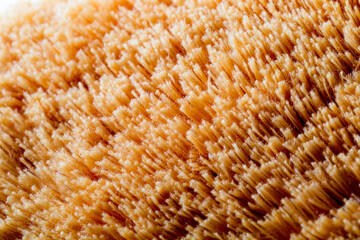 Close-up of Soft and Vibrant Orange Brush Bristles Texture Detail
