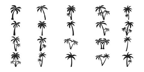 Palm Tree Silhoutte
