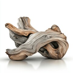 Intricate Textured Driftwood Sculpture with Natural Forms and Earthy Tones on White Background