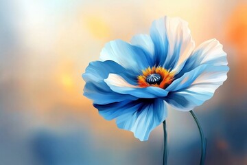 Light Blue Poppy Flower in Soft Sunset Light